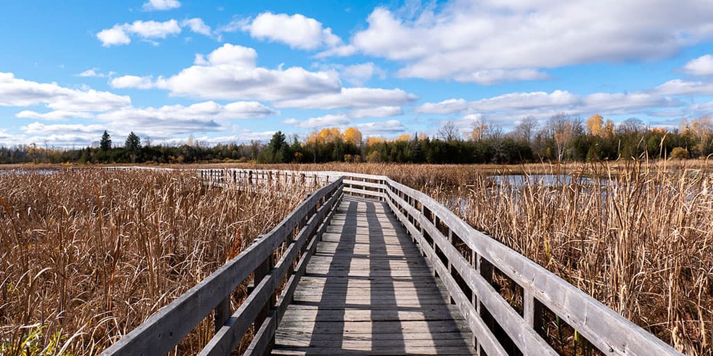 HR Frink Conservation Area