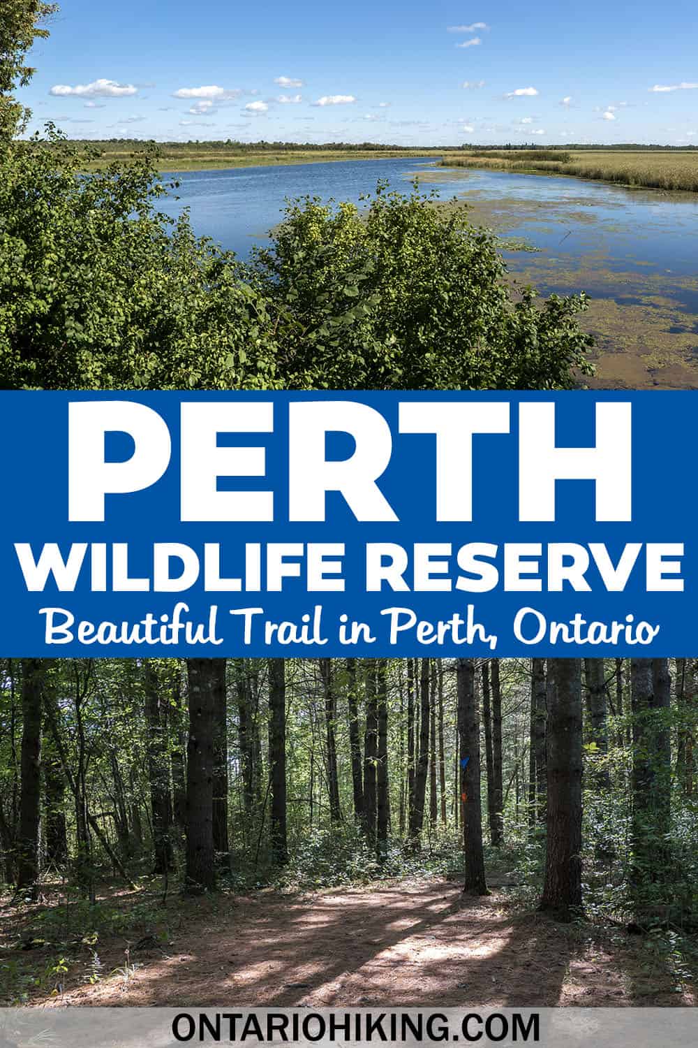 Perth Wildlife Reserve Conservation Area has a loop trail around the Tay Marsh. There's a lookout tower with opportunities to view wildlife.