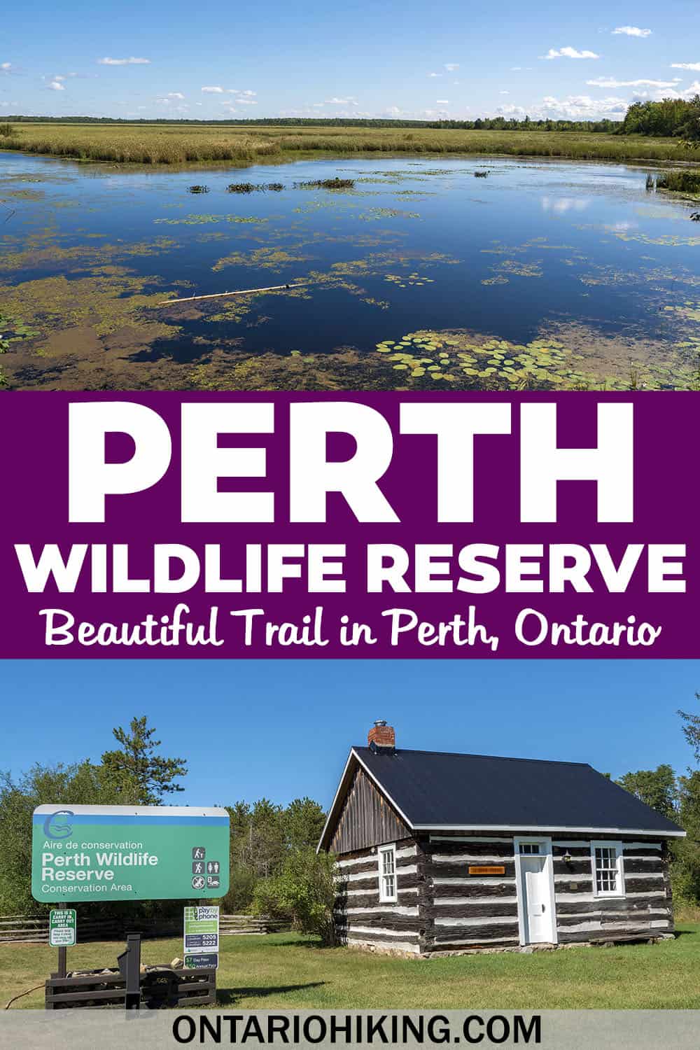 Perth Wildlife Reserve Conservation Area has a loop trail around the Tay Marsh. There's a lookout tower with opportunities to view wildlife.