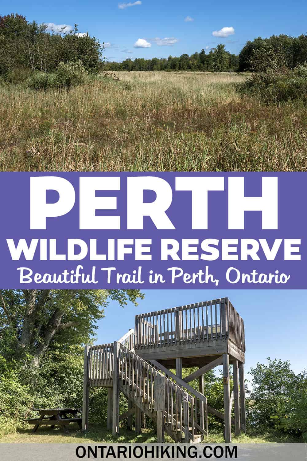 Perth Wildlife Reserve Conservation Area has a loop trail around the Tay Marsh. There's a lookout tower with opportunities to view wildlife.