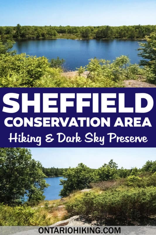 Sheffield Conservation Area is a wonderful place to go hiking and it's a brilliant dark sky preserve by nightfall. Perfect for nature lovers!
