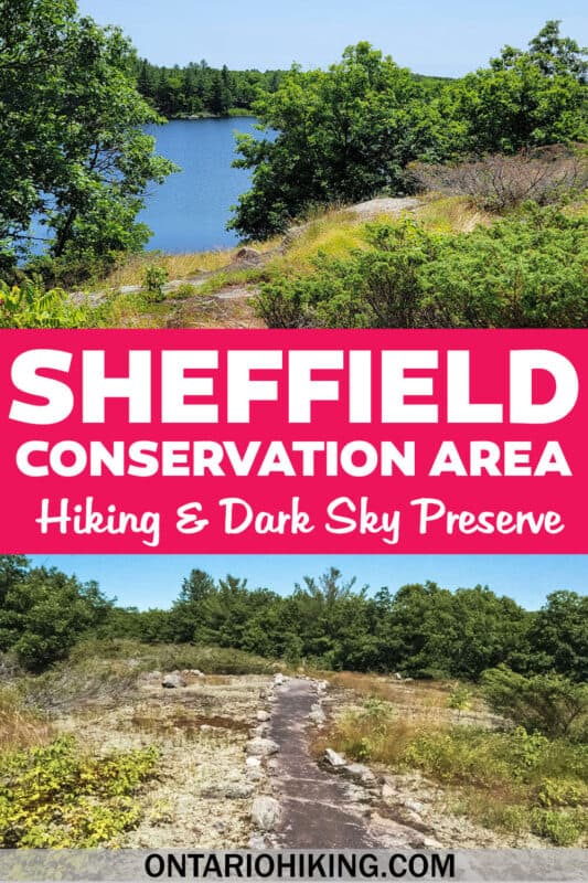 Sheffield Conservation Area is a wonderful place to go hiking and it's a brilliant dark sky preserve by nightfall. Perfect for nature lovers!