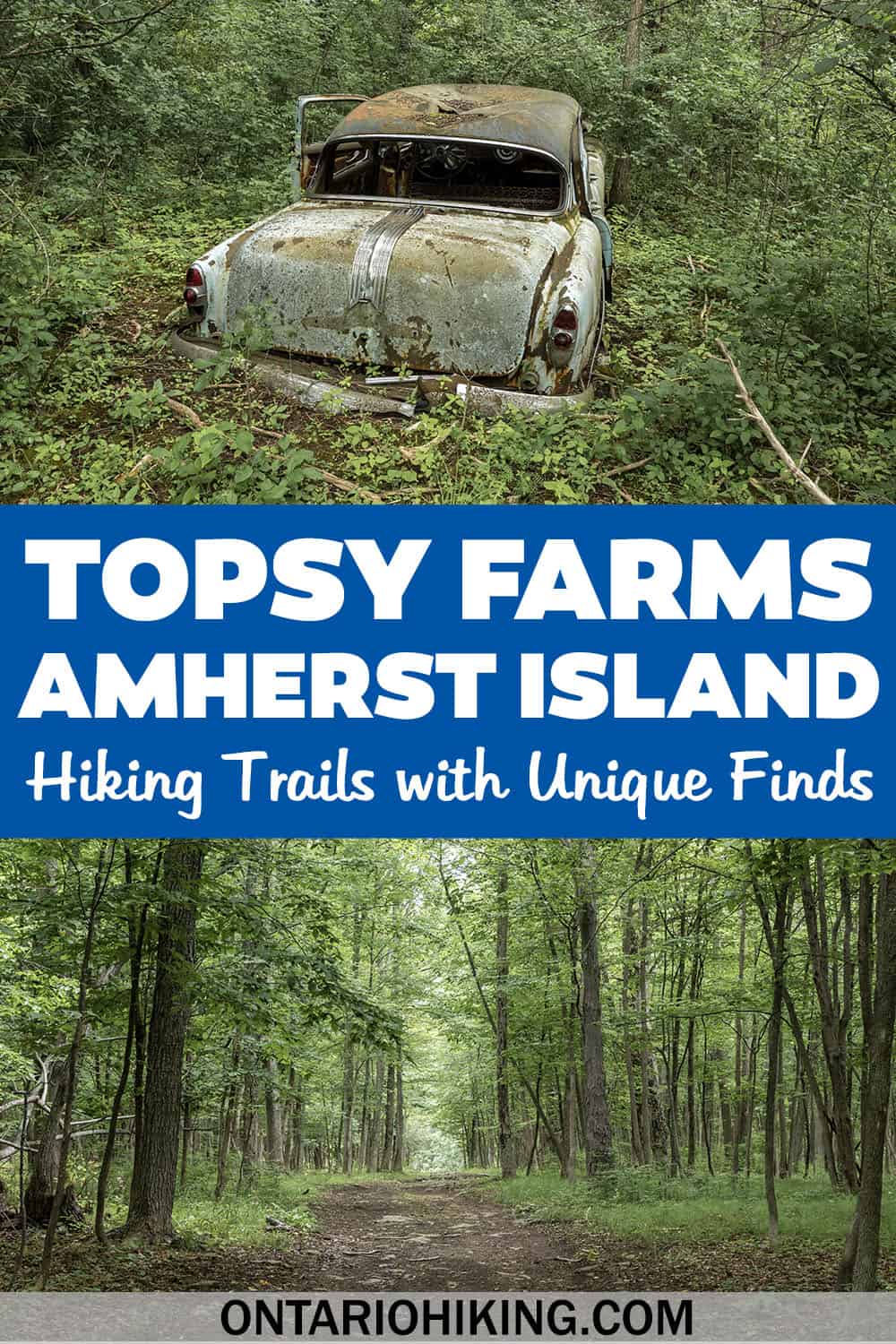 The Topsy Farms trails on Amherst Island are wonderful to explore. You'll spot wildlife, an old sugar shack, and intriguing abandoned finds.