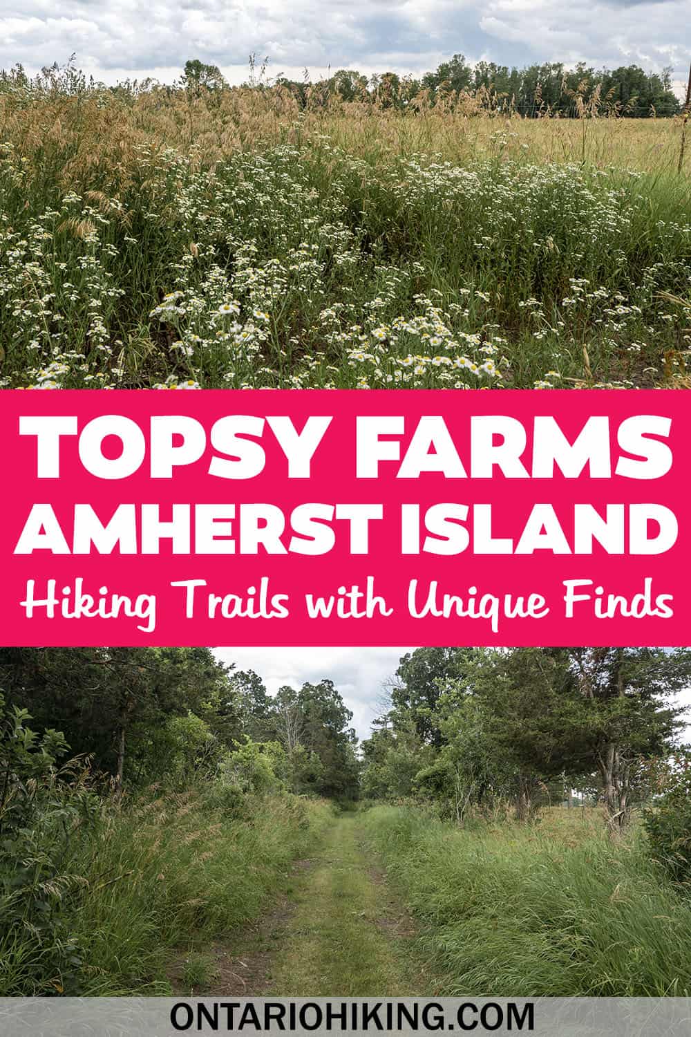 The Topsy Farms trails on Amherst Island are wonderful to explore. You'll spot wildlife, an old sugar shack, and intriguing abandoned finds.