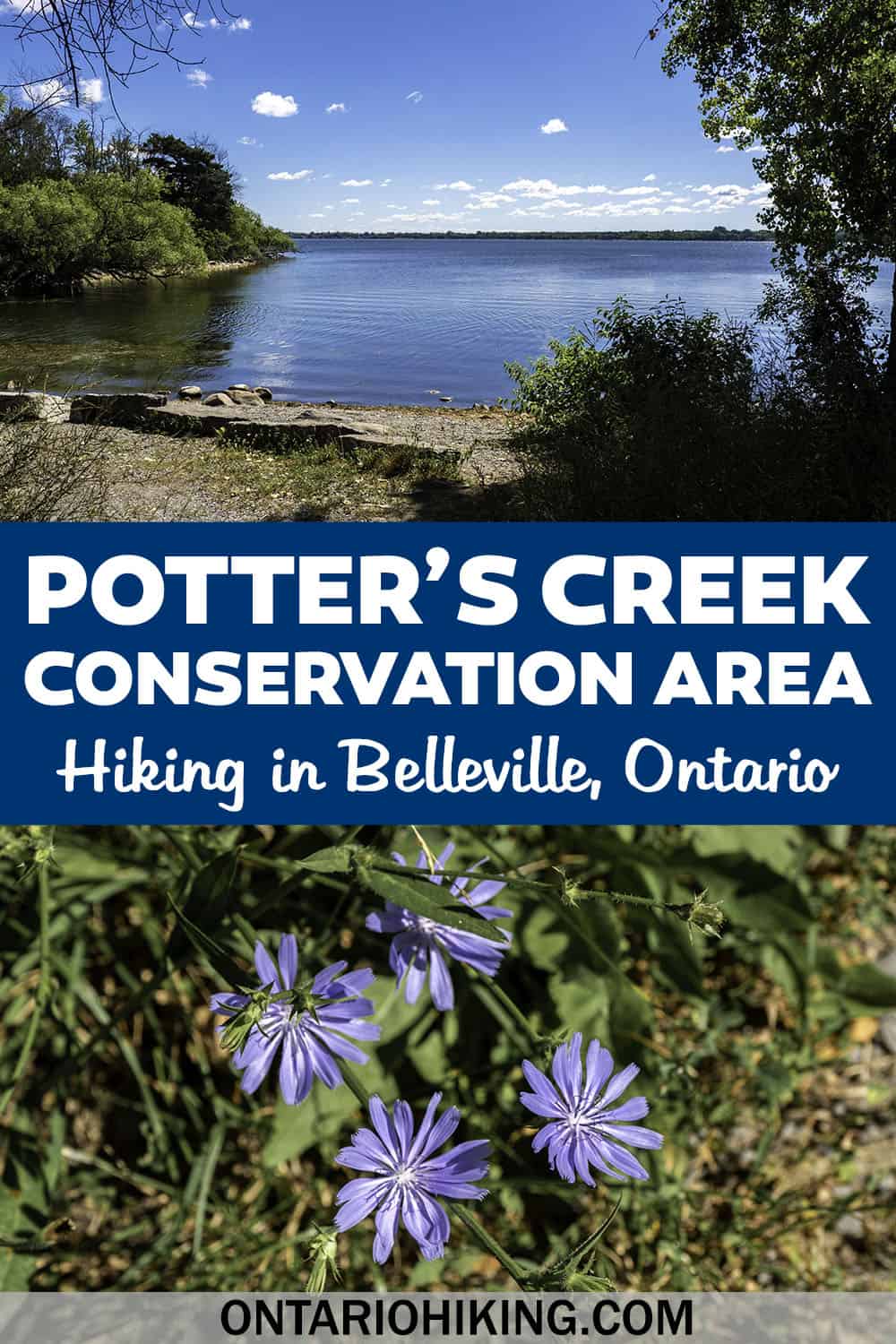Potters Creek Conservation Area is home to an amazing collection of hiking trails in Belleville, Ontario. Forest hikes and waterfront paths.