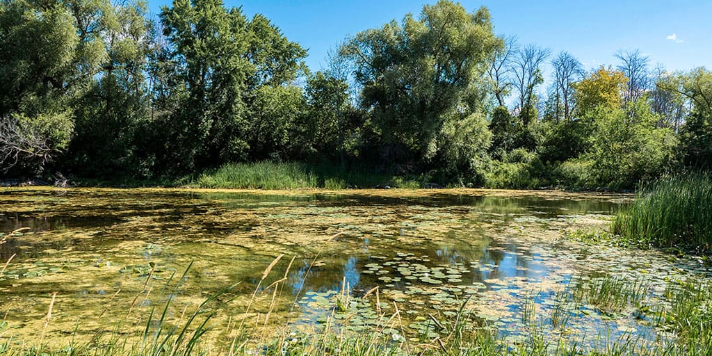 Potters Creek Conservation Area
