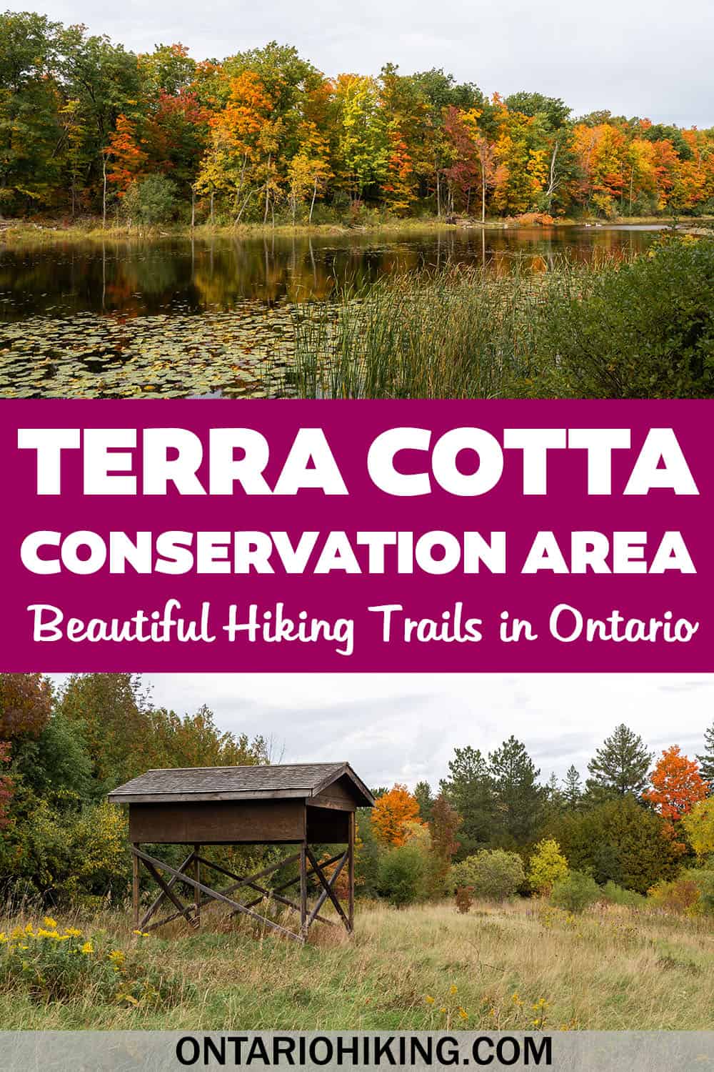 Terra Cotta Conservation Area is a beautiful place to go hiking in Halton Hills, Ontario. Hike through mature forests and past pretty ponds.