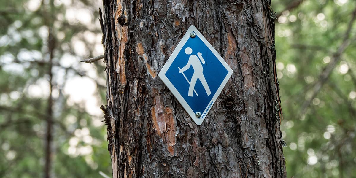 Kivi Park Trails in Sudbury