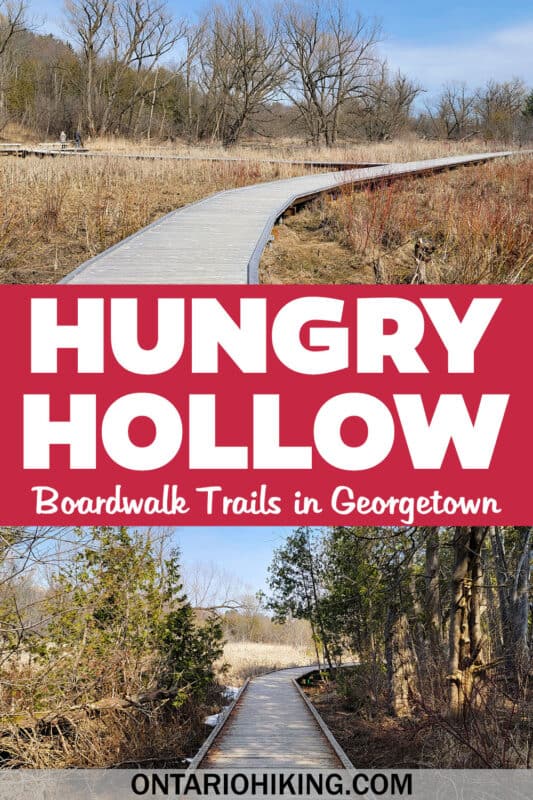 The Hungry Hollow Trail is a beautiful collection of boardwalk trails and forest paths in the heart of Georgetown, Halton Hills, Ontario.