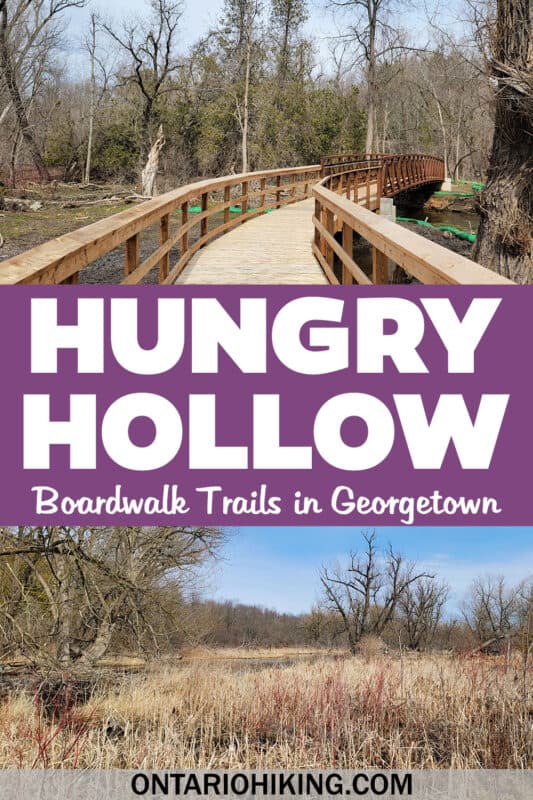 The Hungry Hollow Trail is a beautiful collection of boardwalk trails and forest paths in the heart of Georgetown, Halton Hills, Ontario.
