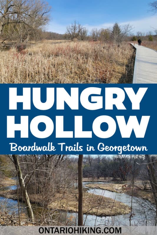 The Hungry Hollow Trail is a beautiful collection of boardwalk trails and forest paths in the heart of Georgetown, Halton Hills, Ontario.