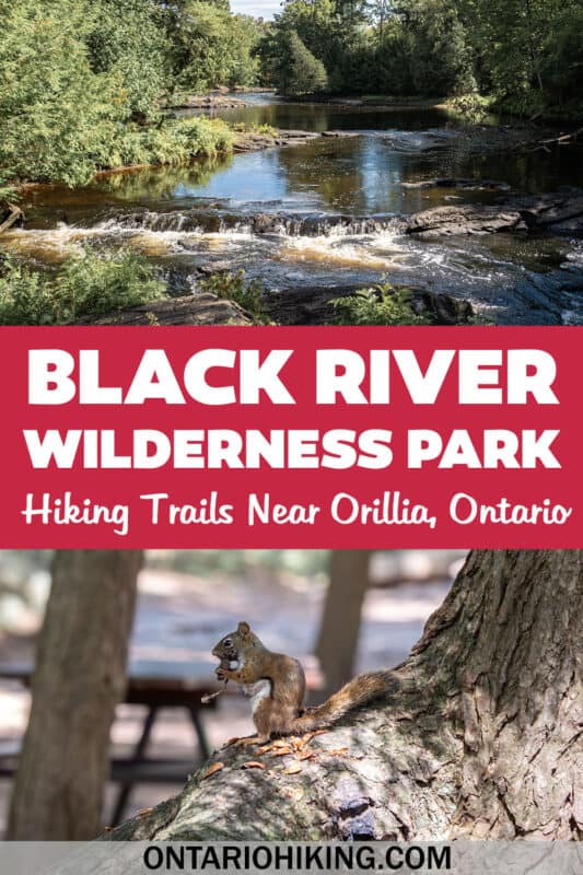 Black River Wilderness Park near Orillia offers beautiful hiking trails in a scenic forest, next to the twinkling waters of the Black River.