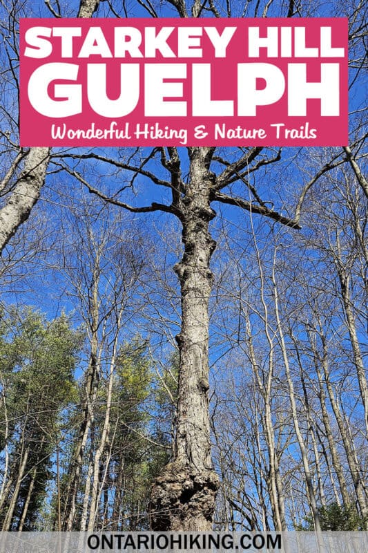 Starkey Hill is an invigorating place to go for a hike near Guelph, Ontario. Visit the highest point in the region, a wind phone and more!