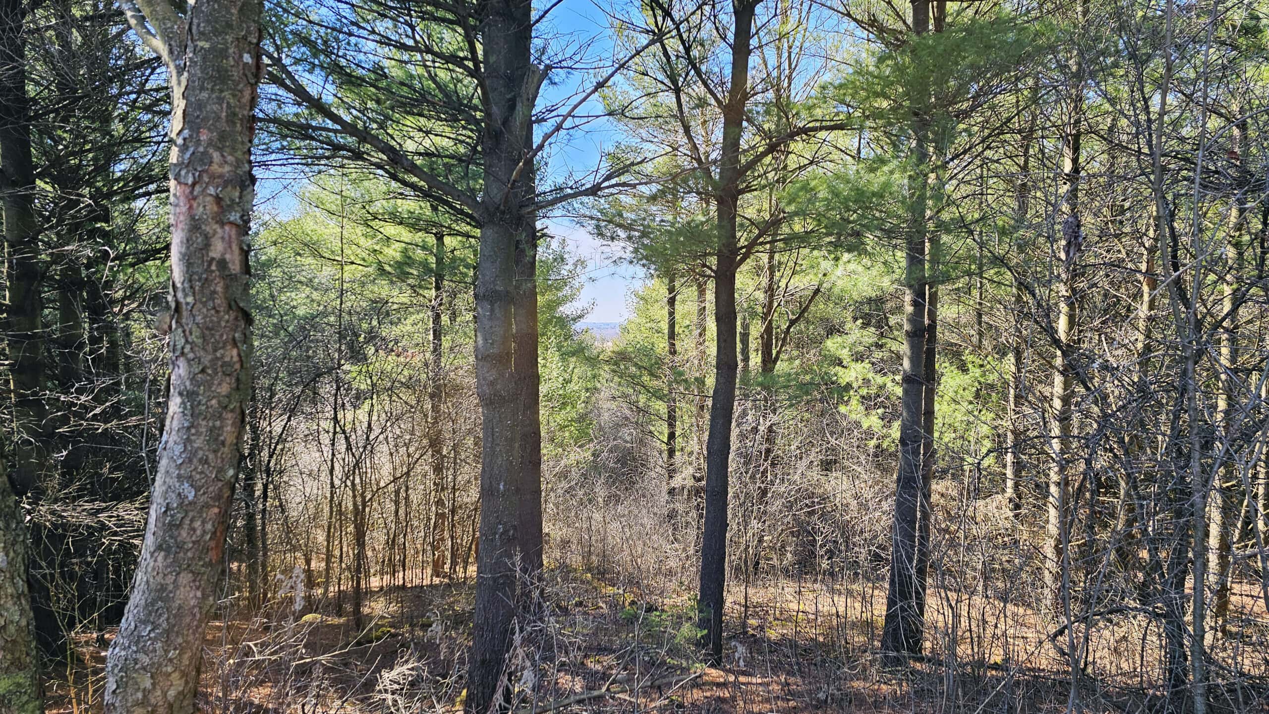 The Summit at Starkey Hill