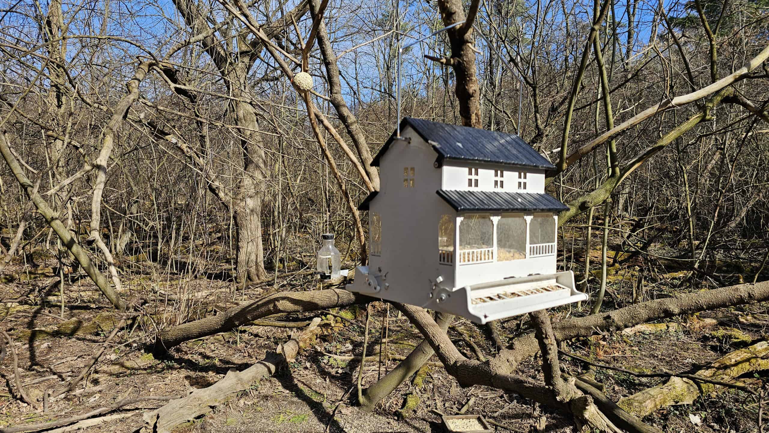Bird feeders at Starkey Hill