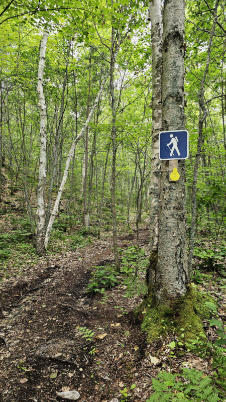 Crowley Lake Trail