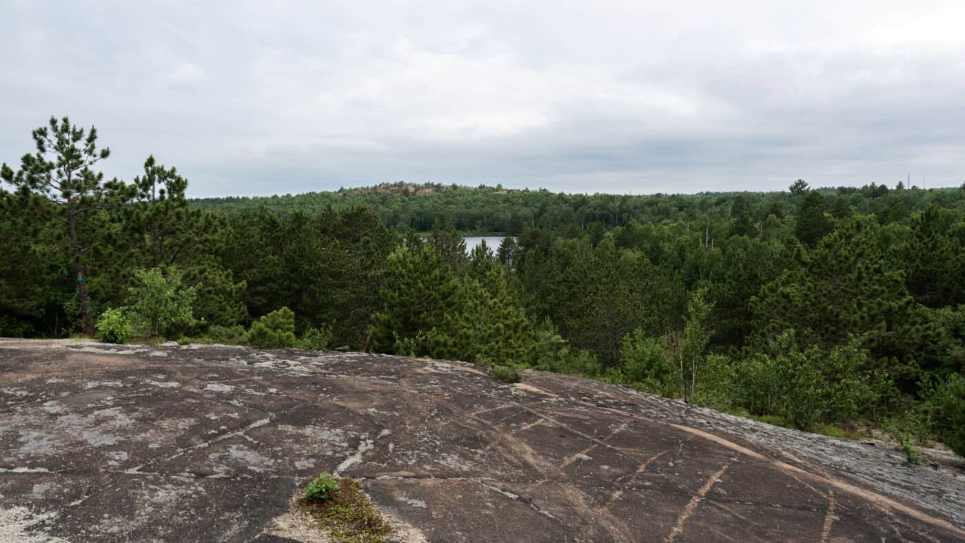 Hiking at Kivi Park