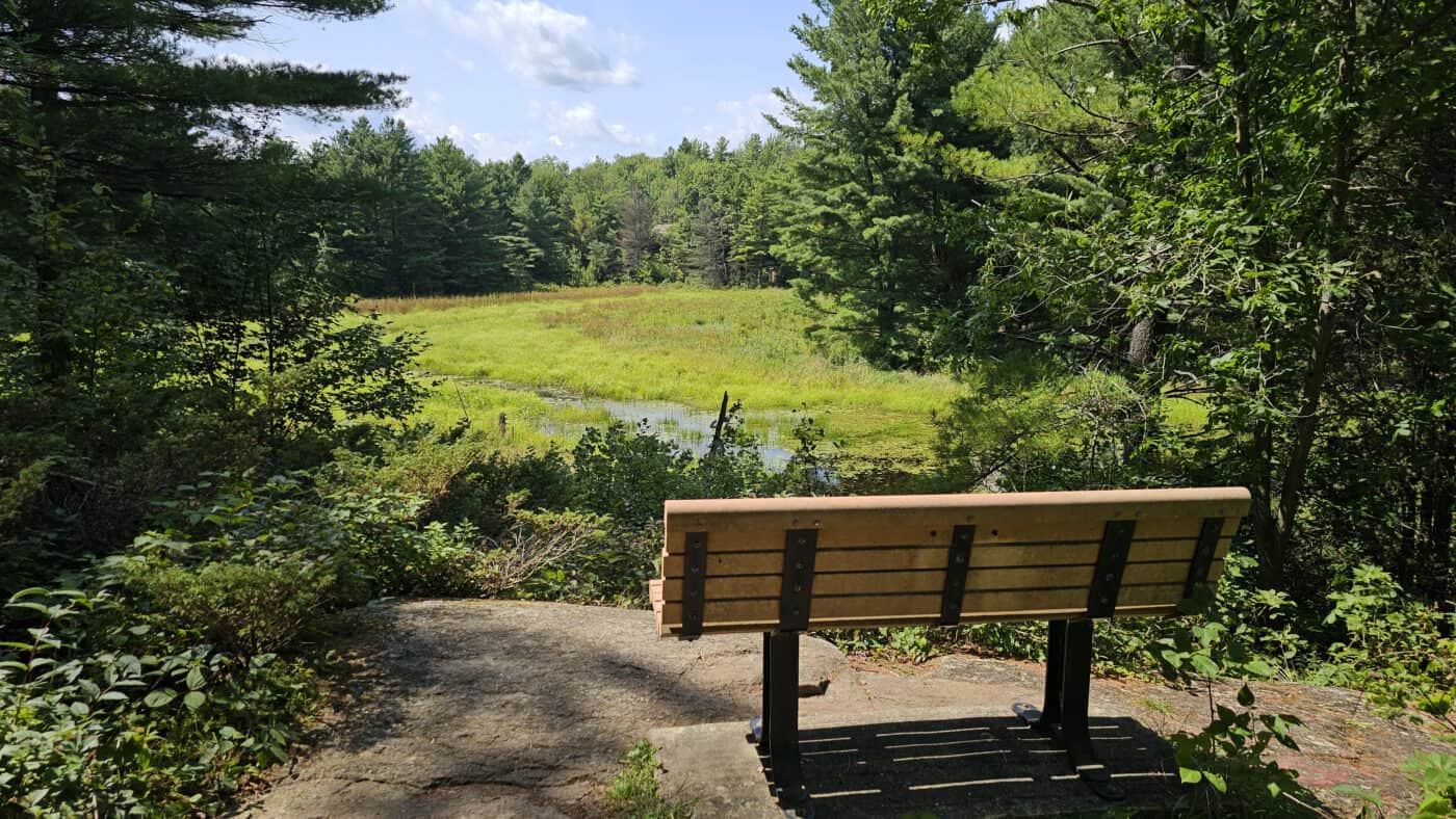 Bench with views of the marsh