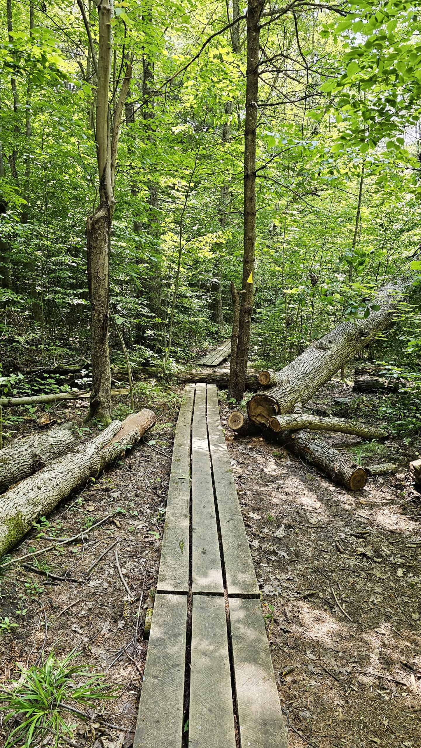 Rock Dunder Boardwalk