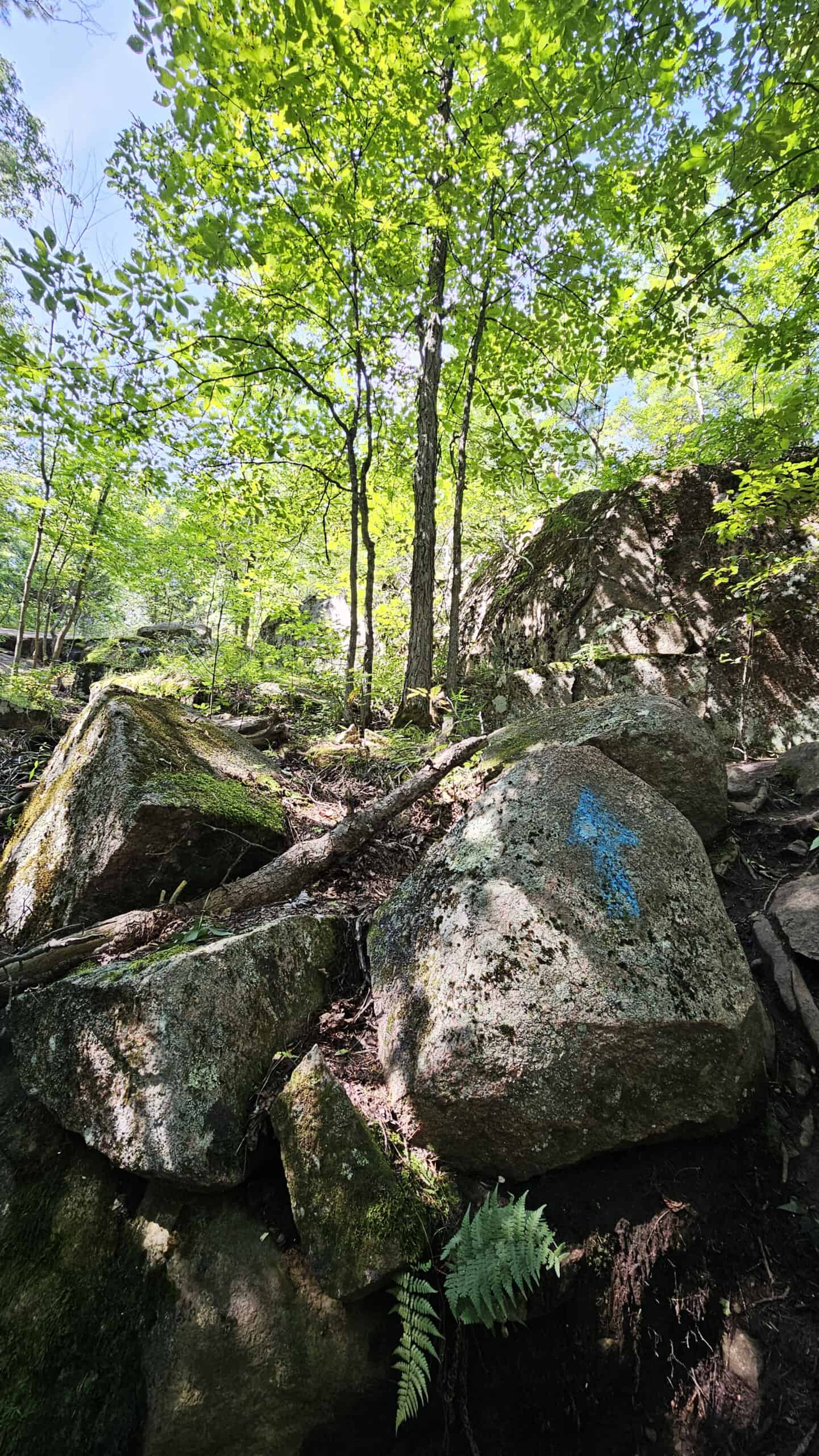 Rock Dunder Trail Blazes