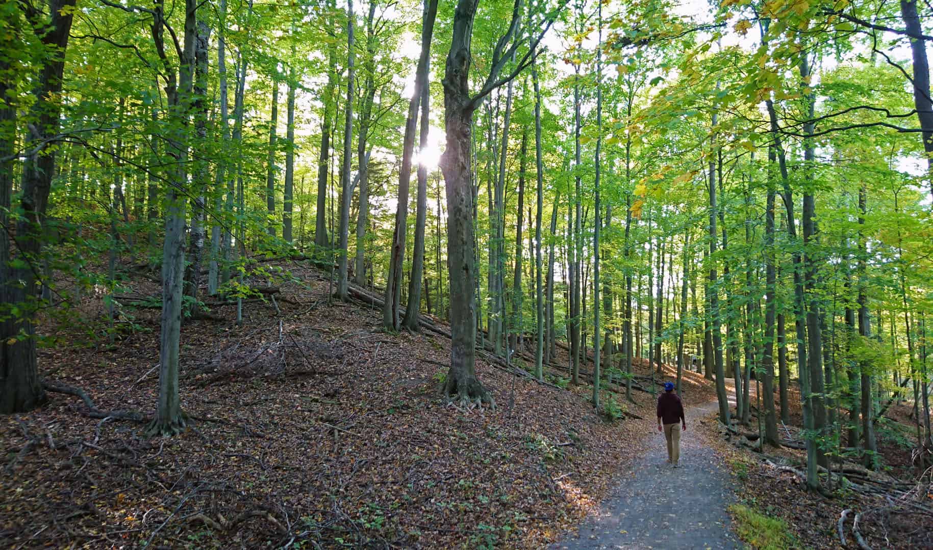 2016-DundasValleyCA006 Dundas Valley Conservation Area
