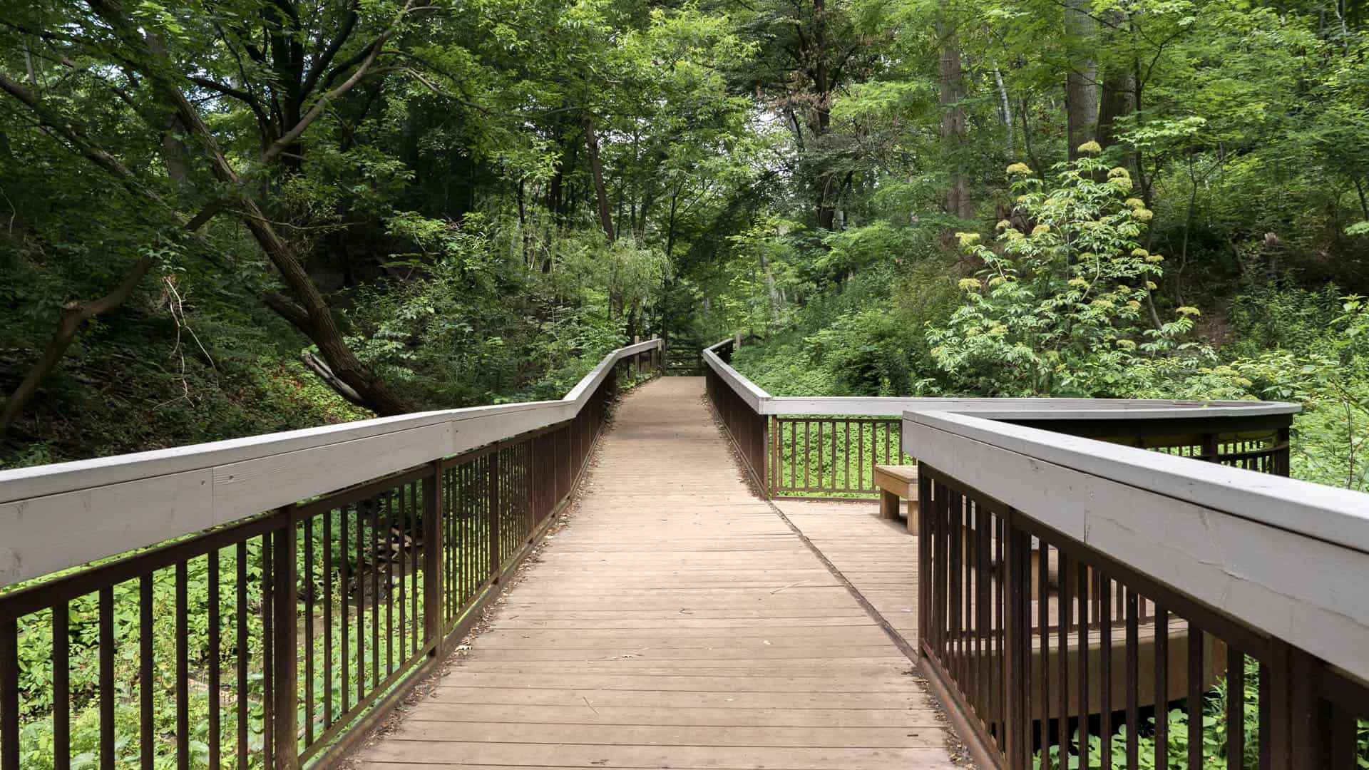 Glen Stewart Ravine