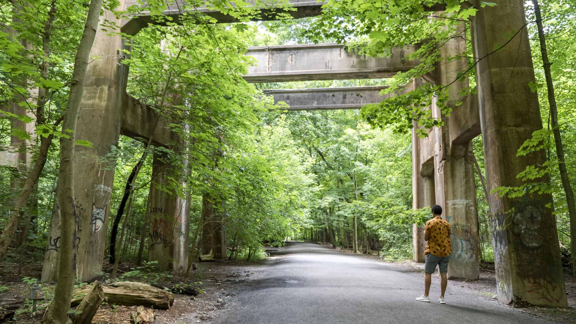 Moore Park Ravine