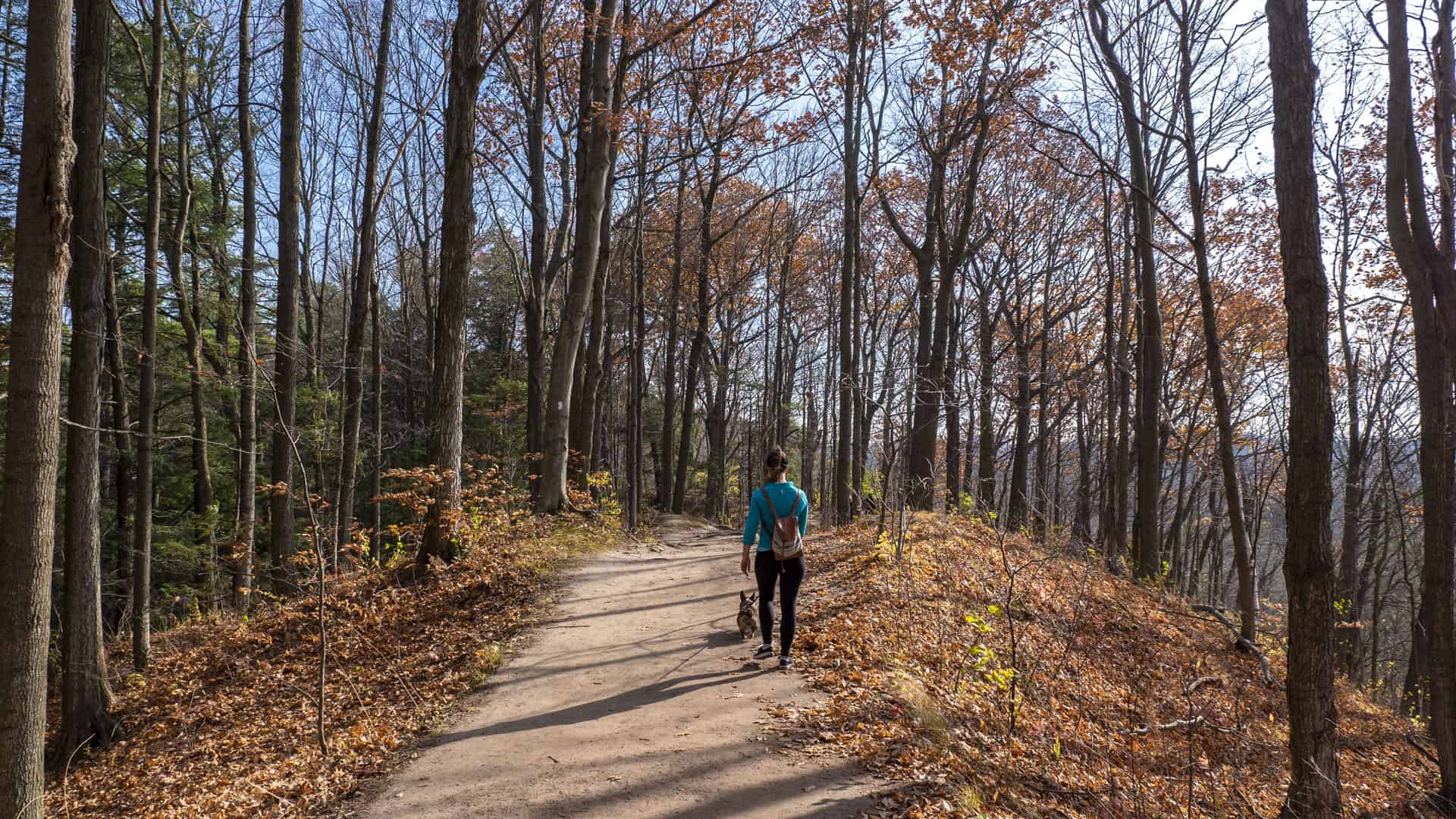 Rouge Park