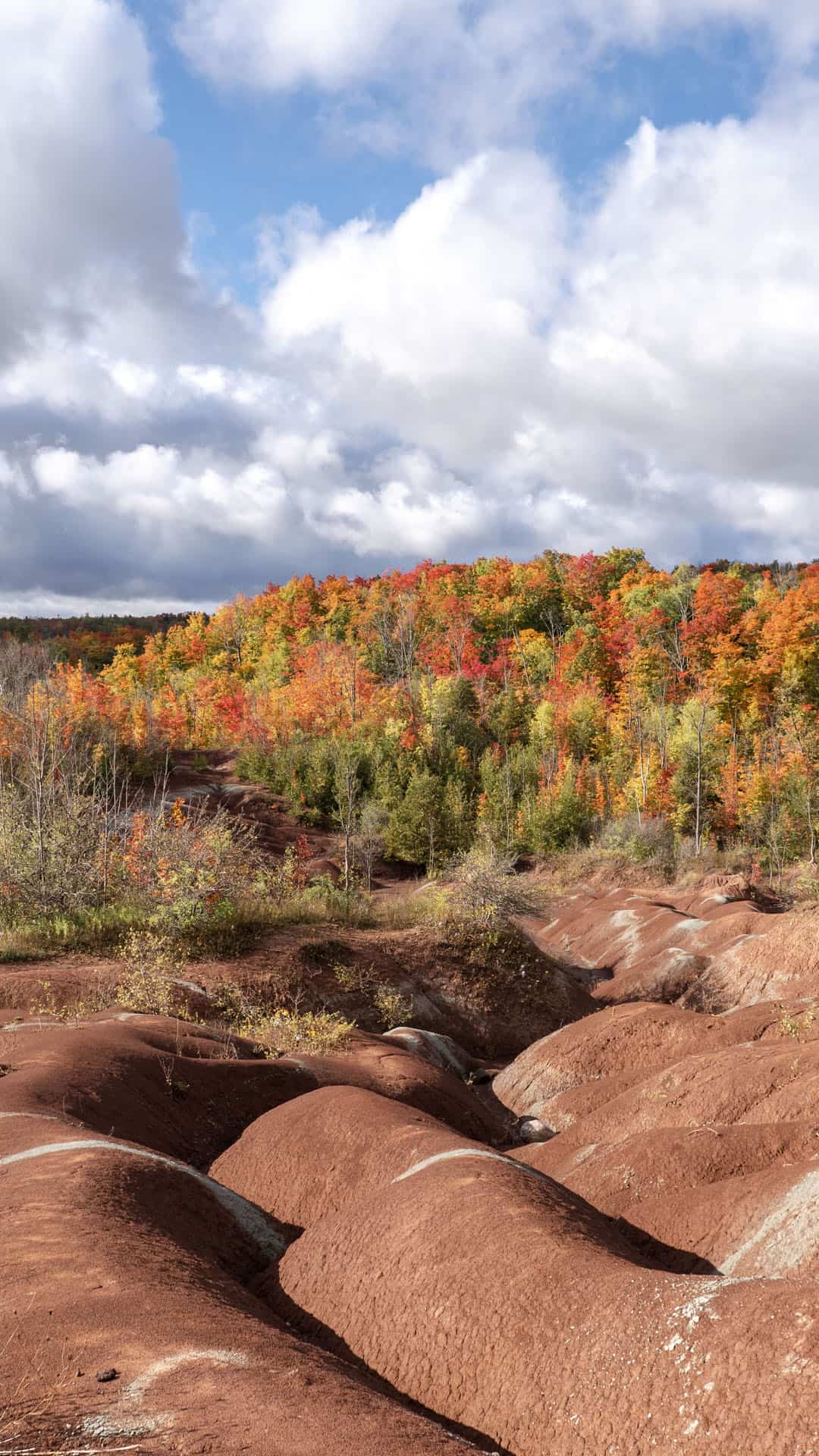 2020-CheltenhamBadlands008 Cheltenham Badlands