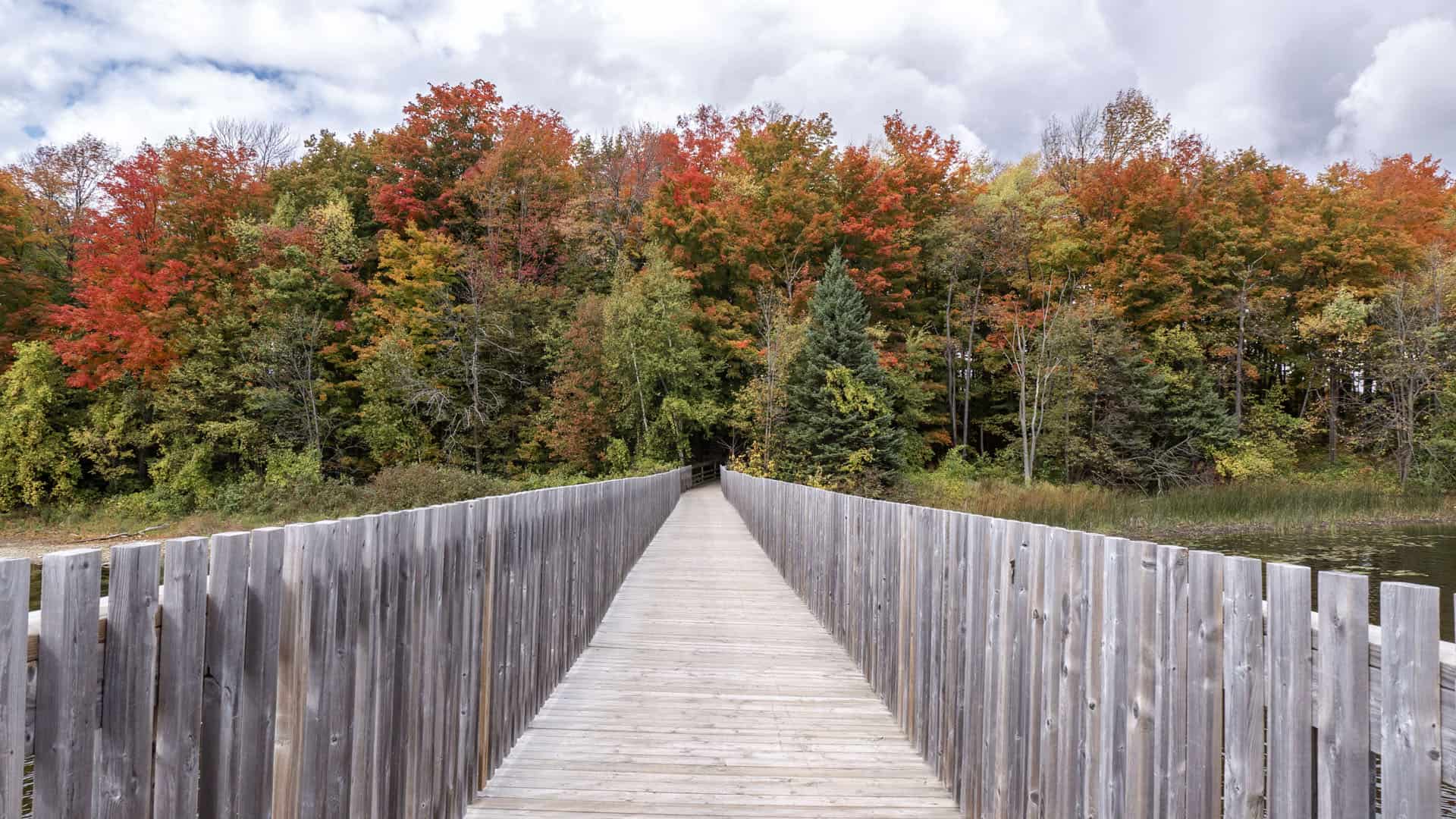 Island Lake Conservation Area