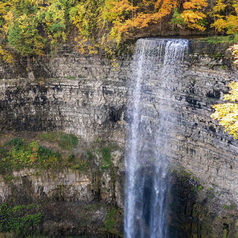 Parkbus fall hikes